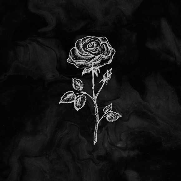 Meet your Posher, Luciano - Picture 1 of 1